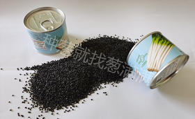 大葱种子为什么涨价?哪种大葱种子比较好?