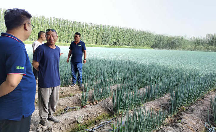 葱满满线下技术指导