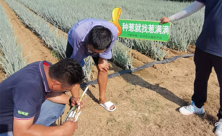 葱满满线下指导葱友