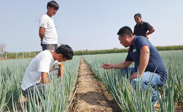 葱满满线下技术指导