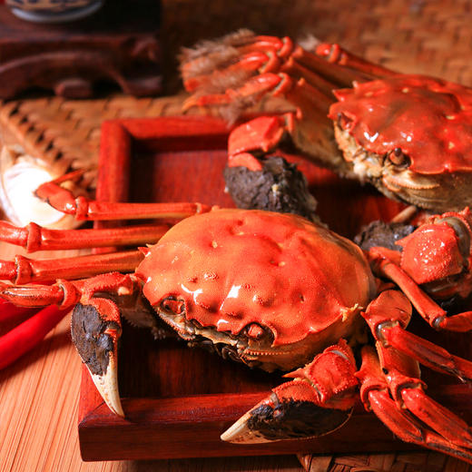 固城湖沈家蟹3.9-3.5两公2.8-2.5两4对共8只（A28商） 商品图3