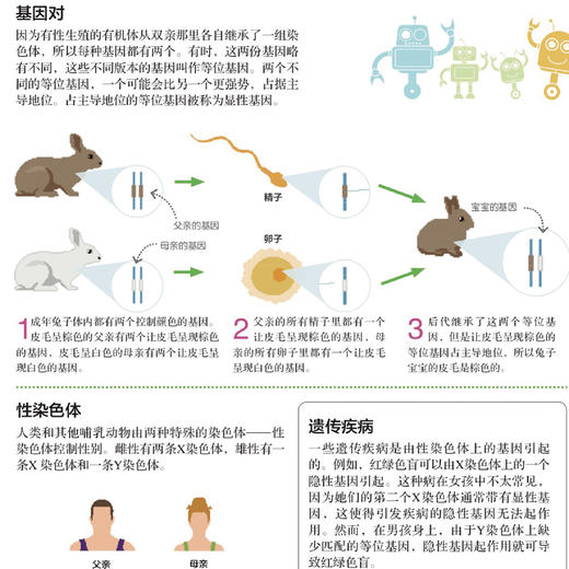 《DK儿童STEM创新思维培养：图解科学、技术与工程》 商品图9