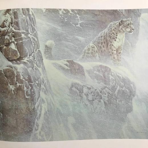 博物画家罗伯特·贝特曼画集 187幅插图 精装大16开 商品图9