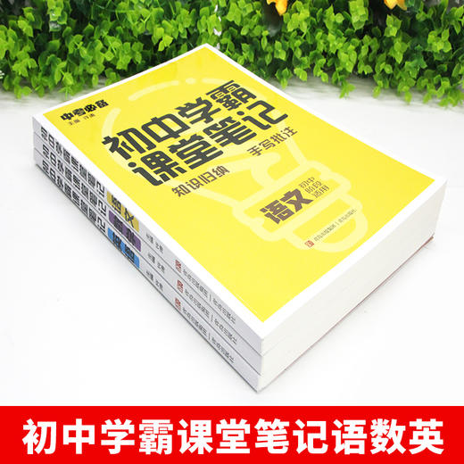 【12-15岁】《2022新版：初中学霸课堂笔记》全3册 商品图3