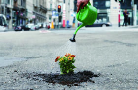 路坑也能种花？
