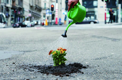 路坑也能种花？ 商品图0