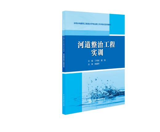 河道整治工程实训（水利水电建筑工程高水平专业群工作手册式系列教材） 商品图0