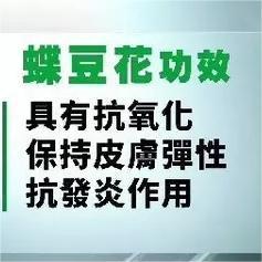 【甜久荟 海盐菠萝蝶豆花法式鲜奶蛋糕】 海盐爱好者的偏爱 搭配充满热带风情的菠萝 少量天然蝶豆花染出迷人色泽（介意勿拍） 100%动物鲜奶油  无化学添加 惊喜的口感不容错过 商品图2