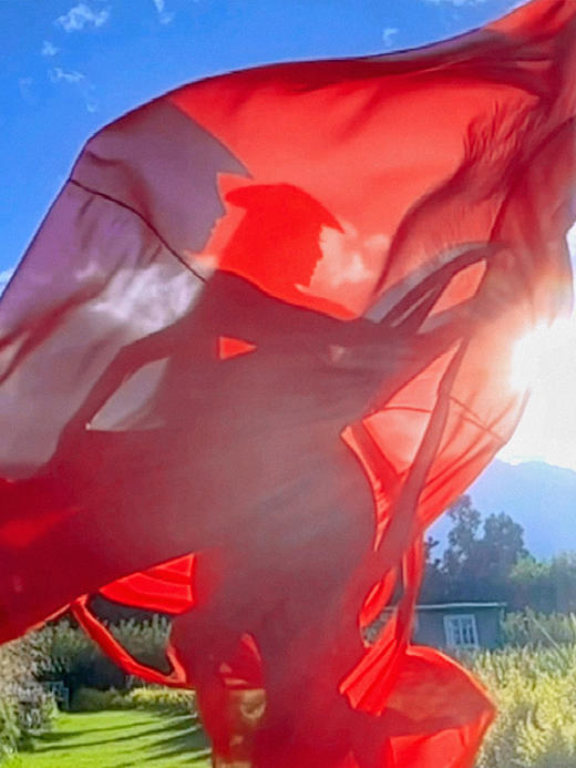 晓枫来仙气连衣裙 / 杨老师同款 / 少量现货 商品图3