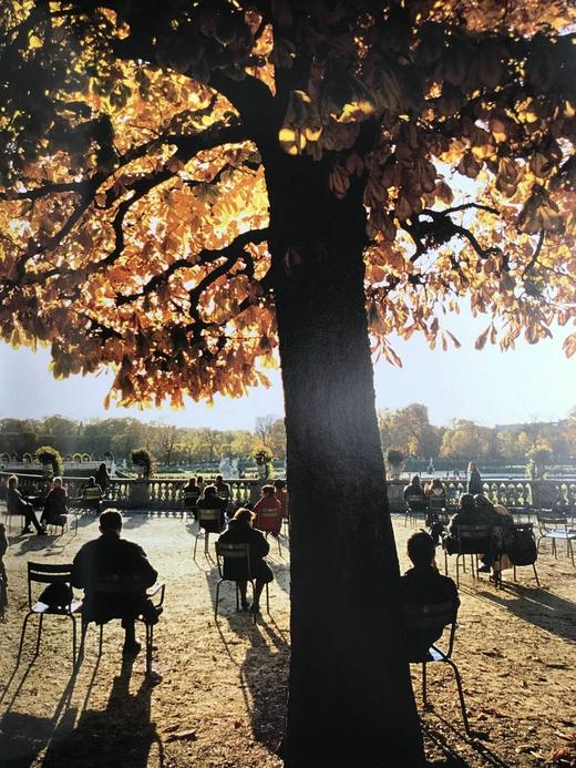 巴黎图集（裸书） 数百幅插图 精装大16开 商品图12