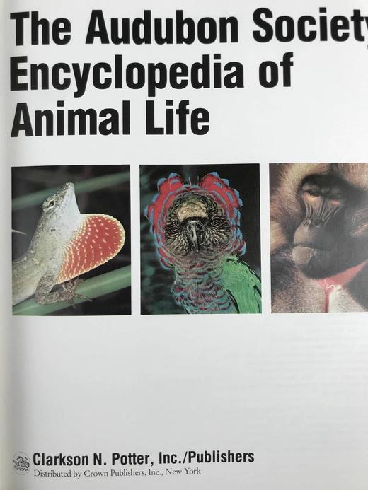 奥杜邦动物百科全书（裸书） 千余幅插图（583幅彩色） 精装大16开 商品图2