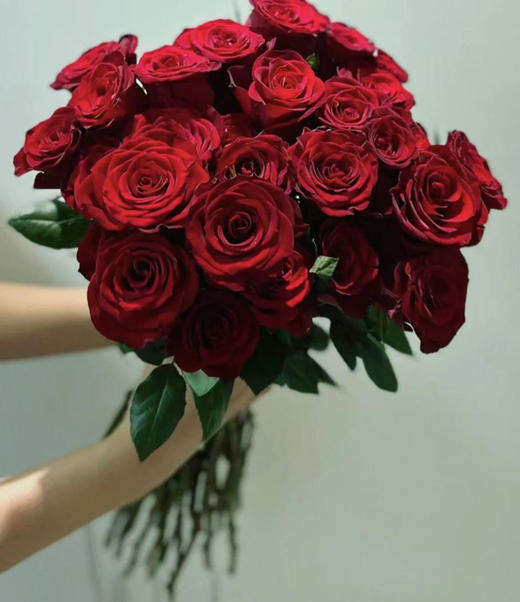 【拍市玫瑰】高原红 10枝/扎  约60公分 商品图1