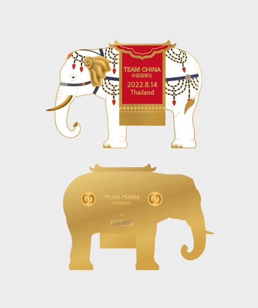 TEAM CHINA太平有象男排亚洲杯夺冠纪念章 商品图2