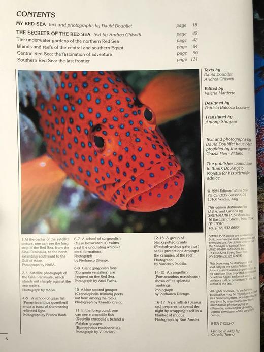 红海：沙漠边缘的珊瑚王国 约百幅彩色插图 精装8开 商品图4