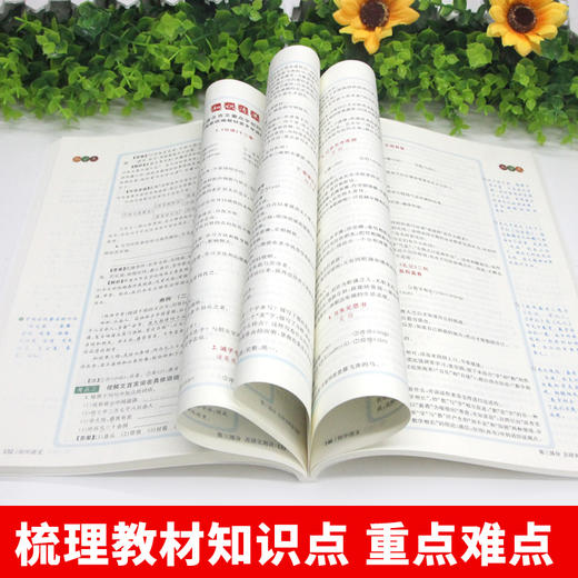 【12-15岁】《2022新版：初中学霸课堂笔记》全3册 商品图4