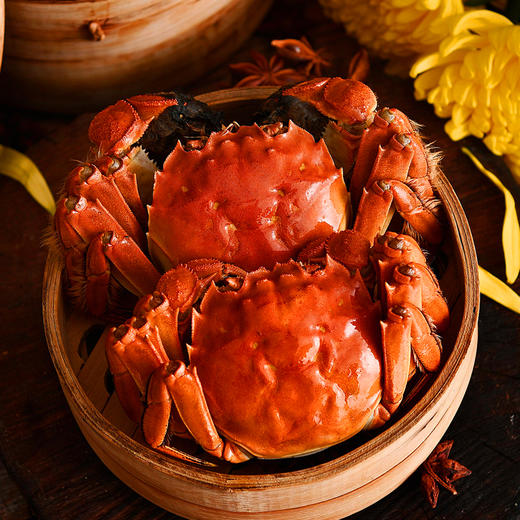 固城湖沈家蟹3.9-3.5两公2.8-2.5两4对共8只（A28商） 商品图5