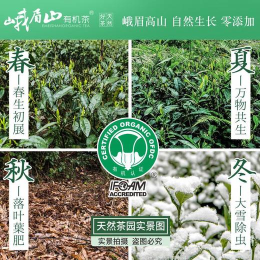 峨眉山有机茶遇仙圆筒50g 商品图1