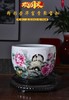 粉彩荣华富贵聚宝缸 商品缩略图0