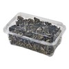 木耳 约150g 商品缩略图4