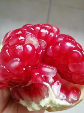 全理有机软籽石榴