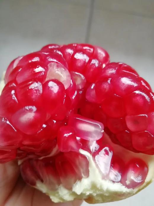 全理有机软籽石榴 商品图0