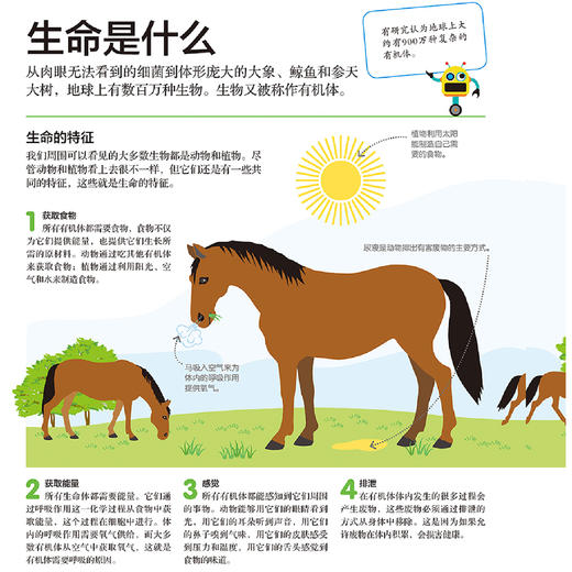 《DK儿童STEM创新思维培养：图解科学、技术与工程》 商品图4
