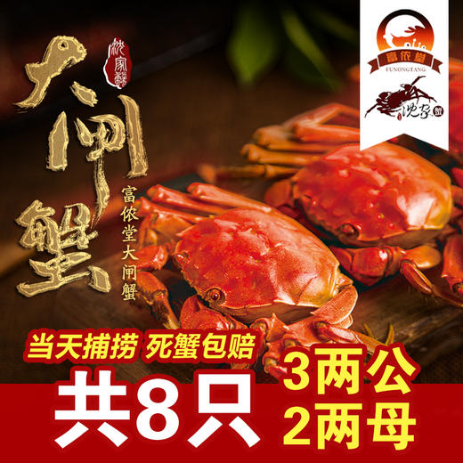固城湖沈家蟹3.4-3.0两公2.4-2.0两4对共8只（A18商） 商品图1
