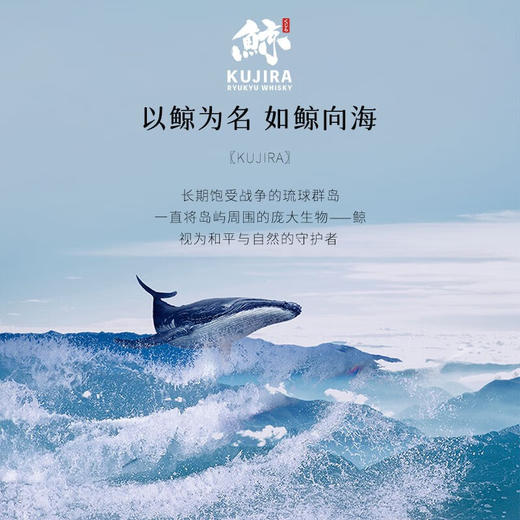 【三大古老酒厂力作】鲸琉球单一谷物威士忌系列 日本原瓶进口 43%vol 商品图7