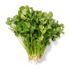“阿德童年”香菜（约100g） 商品缩略图0