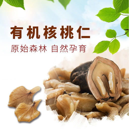 【厂商直发】雪博士有机坚果榛子/榛子仁/松子/松子仁/核桃仁有机认证 商品图3