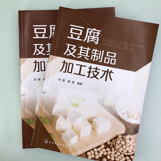 豆腐及其制品加工技术 商品图1