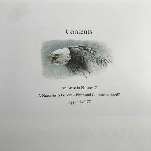 博物画家罗伯特·贝特曼画集 187幅插图 精装大16开 商品图5