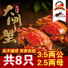 固城湖沈家蟹3.9-3.5两公2.8-2.5两4对共8只（A28商） 商品缩略图1