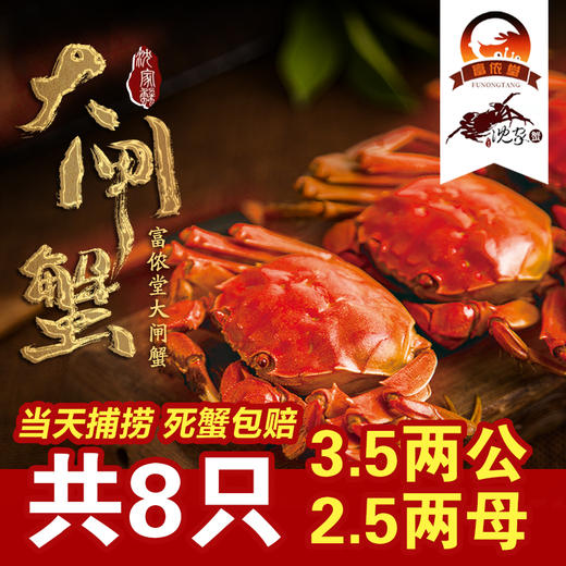 固城湖沈家蟹3.9-3.5两公2.8-2.5两4对共8只（A28商） 商品图1