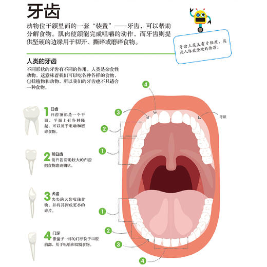 《DK儿童STEM创新思维培养：图解科学、技术与工程》 商品图5
