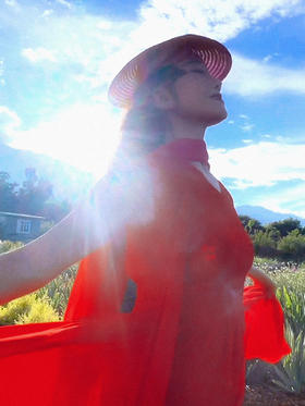 晓枫来仙气连衣裙 / 杨老师同款 / 少量现货