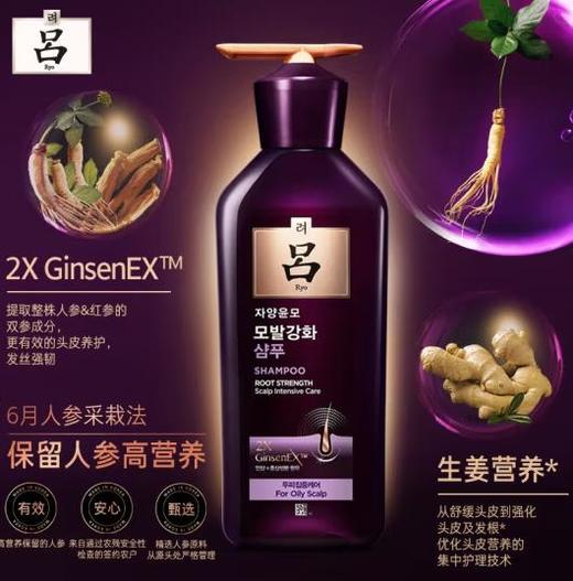 KJ吕滋养韧发密集强韧洗发水 （头皮专护-中干性）400ML 商品图0