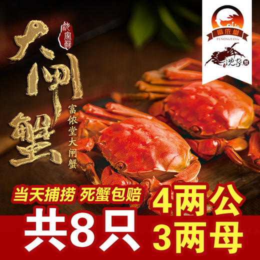 固城湖沈家蟹4.4-4.0两公3.2-2.9两4对共8只（A38商） 商品图1