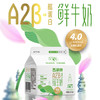 【满2件9.5折限量专属】西湖牌A2β-酪蛋白 屋顶鲜牛奶200mL 商品缩略图4