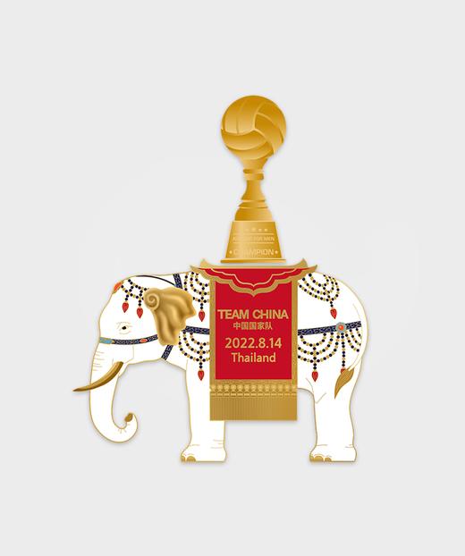 TEAM CHINA太平有象男排亚洲杯夺冠纪念章 商品图1