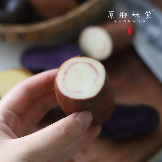 生态多色高原土豆（基地直发-韵达包邮） | 多种规格，来自云南香格里拉，生产者：李忠青【合作生产，公平贸易】 商品图11