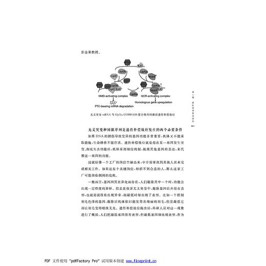 新知的浪潮：“灿若星辰浙大人”之科学篇2/灿若星辰浙大人丛书编委会/浙江大学出版社 商品图2