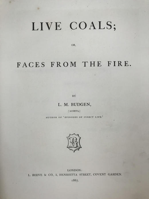 1867年 巴德根《火焰中的脸》 35幅彩色蚀刻版画插图 漆布精装大16开 商品图4