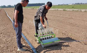 大葱播种深度不合适有什么影响？播种深度多少才好？