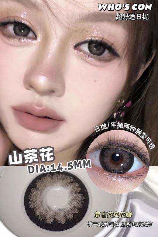 Who's Con山茶花 10片/盒（日抛型） 商品图0