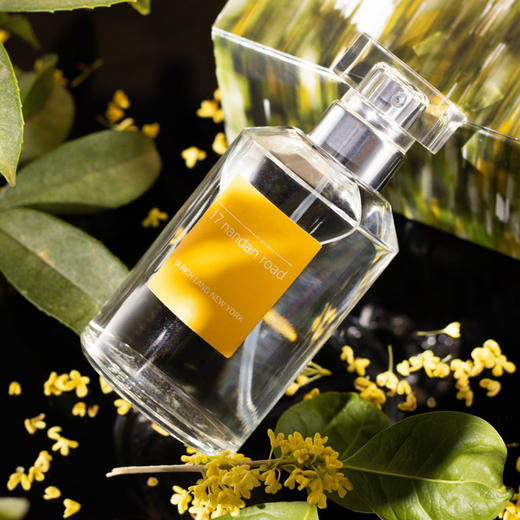 乌尔里郎 南丹路17号 Ulrich Lang 17 Nandan Road 分装 商品图1