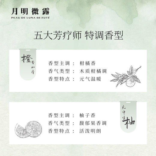 【积分兑换】月明微露衣橱香薰笺*1 商品图3