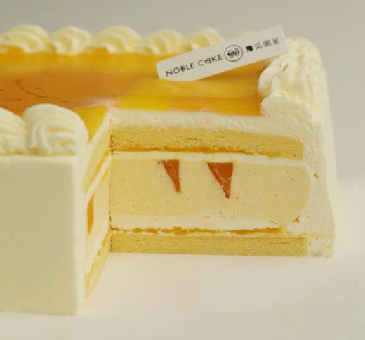 灿烂的橘 商品图1