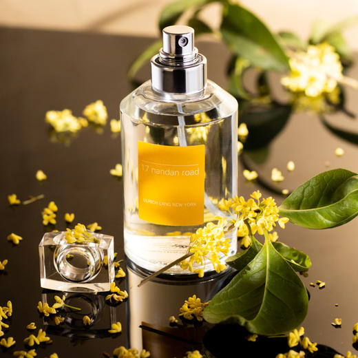 乌尔里郎 南丹路17号 Ulrich Lang 17 Nandan Road 分装 商品图4