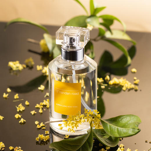 乌尔里郎 南丹路17号 Ulrich Lang 17 Nandan Road 分装 商品图5